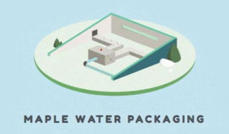 楓樹汁進(jìn)口全流程指南 從國(guó)外貨源到國(guó)內(nèi)市場(chǎng)的關(guān)鍵環(huán)節(jié)解析